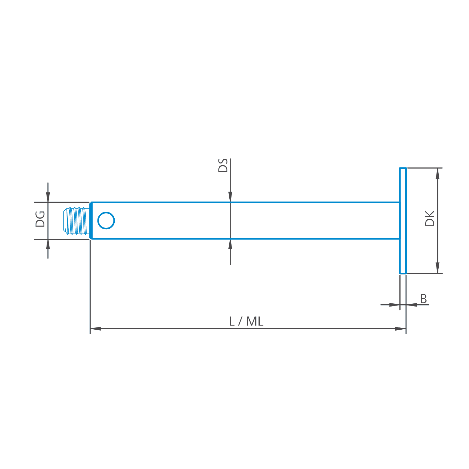Disk stylus M5, DK20 L60